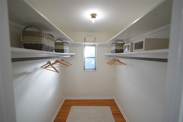 walk in closet featuring wood-type flooring