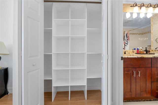 view of closet