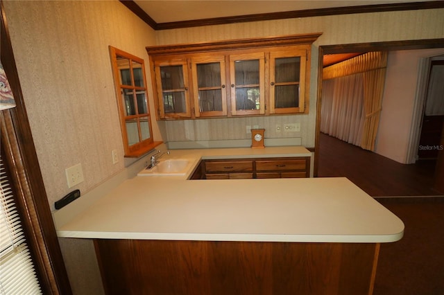 kitchen with kitchen peninsula, ornamental molding, sink, and dark hardwood / wood-style flooring