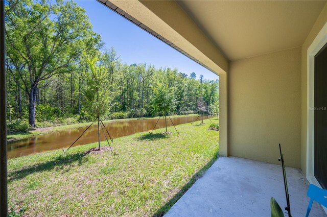 17399 Nectar Flume Dr, Land O Lakes, FL 34638 - photo 32