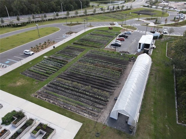 17399 Nectar Flume Dr, Land O Lakes, FL 34638 - photo 44