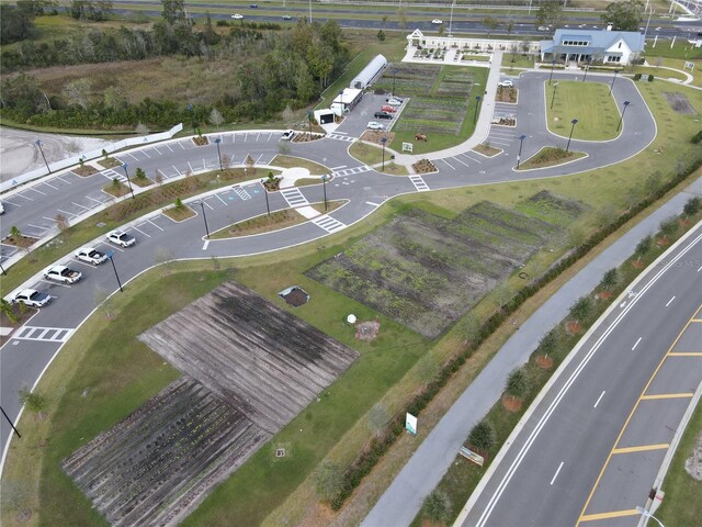 17399 Nectar Flume Dr, Land O Lakes, FL 34638 - photo 46
