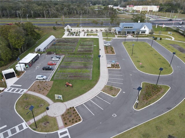 17399 Nectar Flume Dr, Land O Lakes, FL 34638 - photo 47