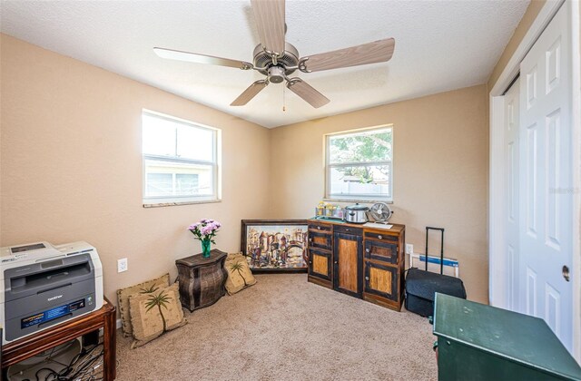 sitting room featuring light carpet, a textured ceiling, ceiling fan, and a healthy amount of sunlight