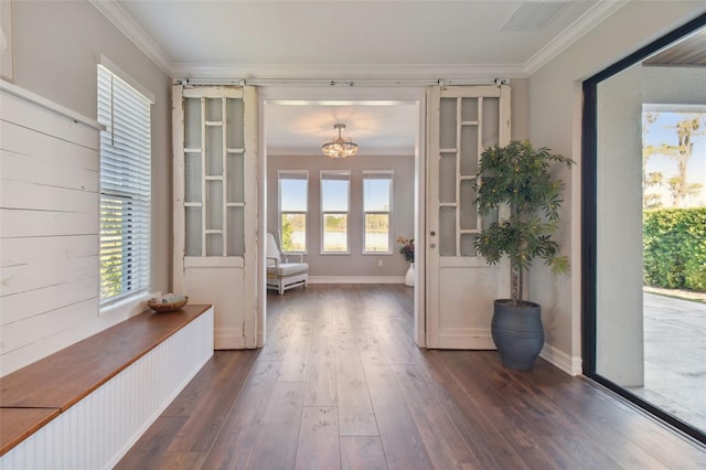 doorway to outside with ornamental molding, dark hardwood / wood-style floors, and a healthy amount of sunlight