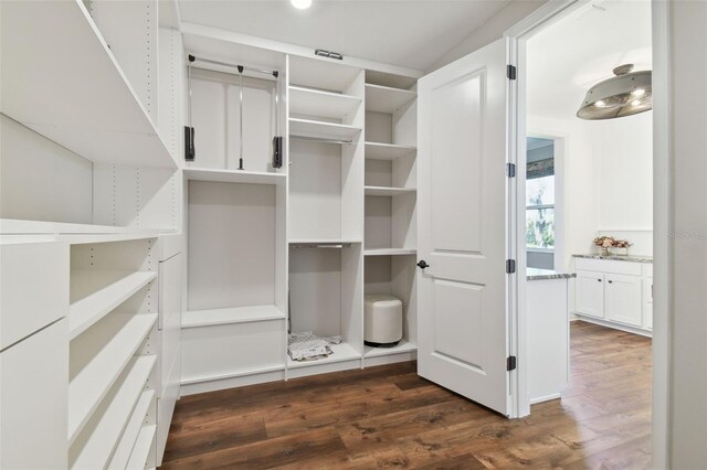 walk in closet with dark hardwood / wood-style flooring