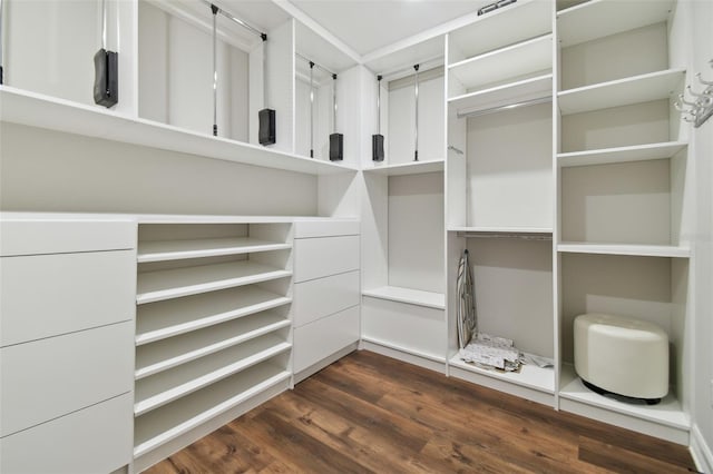 walk in closet with dark wood-type flooring