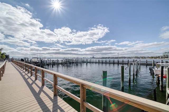 dock area with a water view