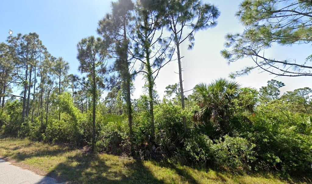 3143 Dwyer St, Port Charlotte, FL 33981 - photo 2