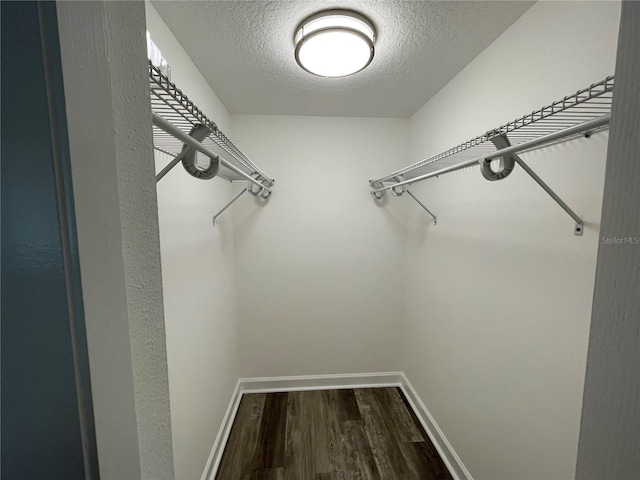 walk in closet with hardwood / wood-style flooring