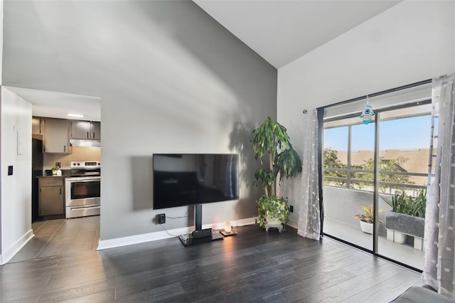 living room featuring dark wood-type flooring and lofted ceiling