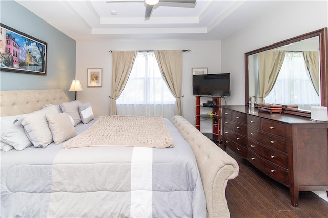 bedroom with dark wood-type flooring, ceiling fan, a tray ceiling, and multiple windows