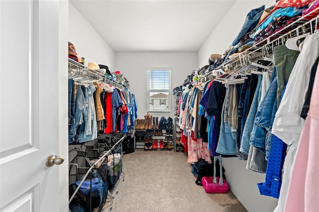 spacious closet with carpet floors