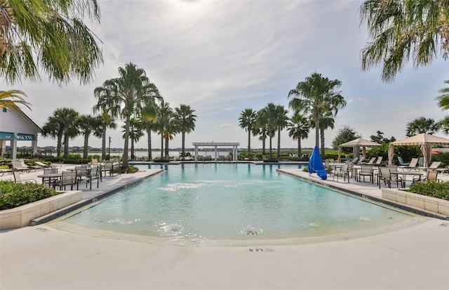 view of pool featuring a patio area