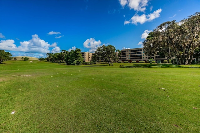 view of community featuring a yard