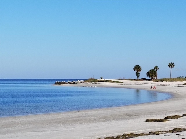 water view featuring a beach view