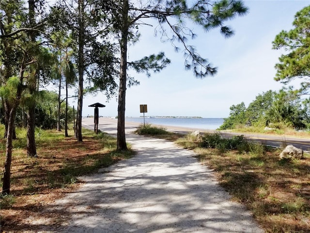 view of home's community featuring a water view