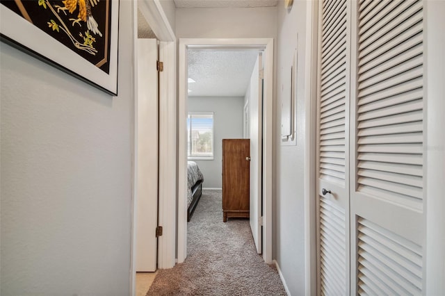 4028 Davit Dr Unit 4028, New Port Richey, FL 34652 - hall with a textured ceiling and carpet floors