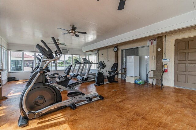 exercise room with ceiling fan and a wealth of natural light