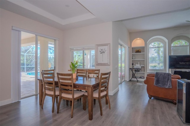 dining room with a tray ceiling, hardwood / wood-style flooring, and a wealth of natural light