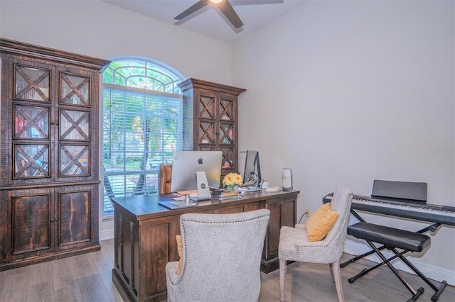 office featuring hardwood / wood-style flooring and ceiling fan