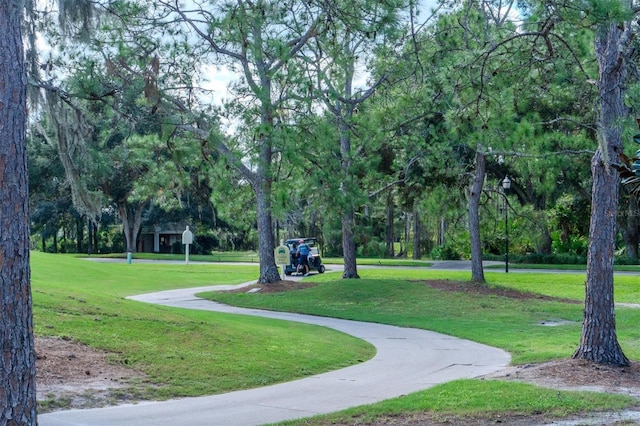 view of property's community featuring a yard