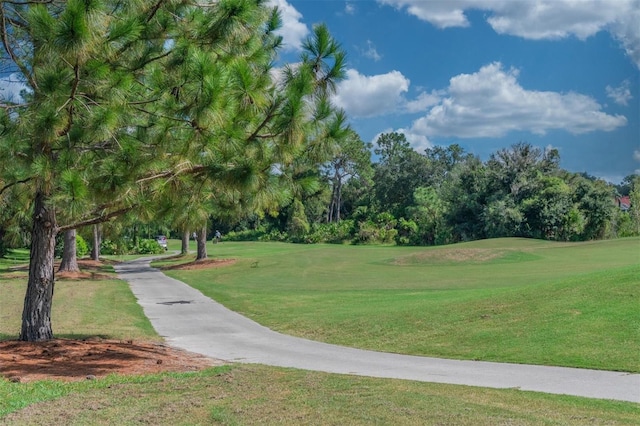 view of property's community featuring a lawn