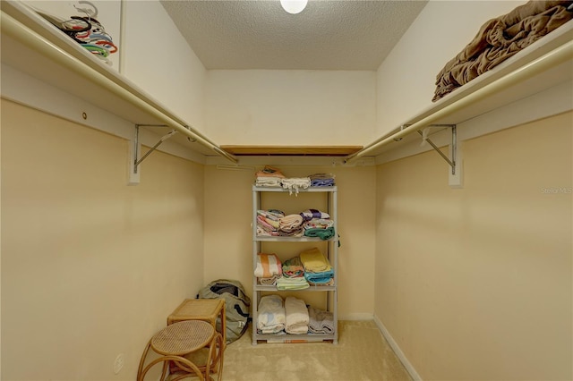 spacious closet with carpet floors