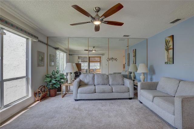 428 Windrush Bay Dr, Tarpon Springs, FL 34689 - photo 22