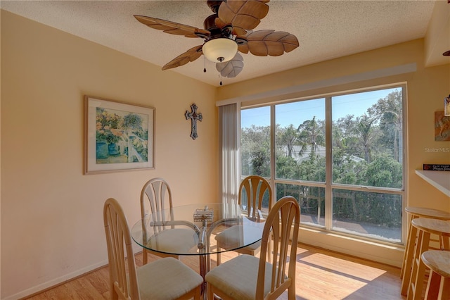 428 Windrush Bay Dr, Tarpon Springs, FL 34689 - photo 14