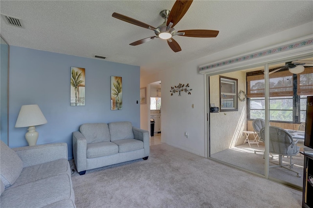 428 Windrush Bay Dr, Tarpon Springs, FL 34689 - photo 21