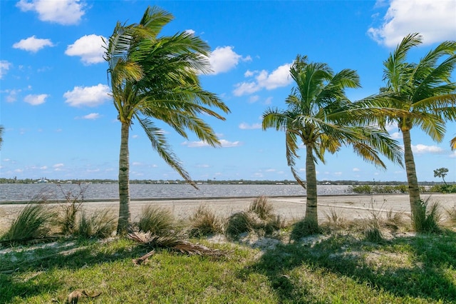 1810 4th St E, Palmetto, FL 34221 - water view