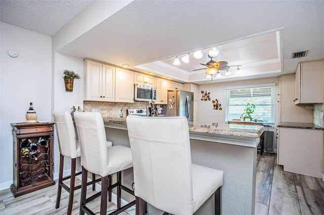 kitchen with a kitchen bar, a raised ceiling, appliances with stainless steel finishes, light hardwood / wood-style floors, and ceiling fan