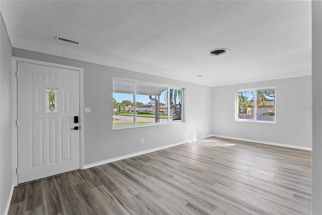 foyer with hardwood / wood-style flooring, a textured ceiling, and a wealth of natural light