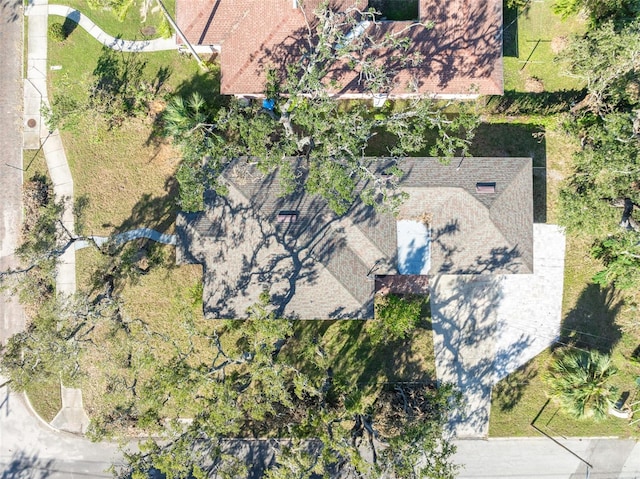 701 17th Ave S, Saint Petersburg, FL 33701 - photo 4