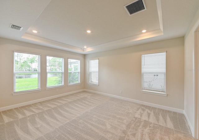 carpeted spare room featuring a healthy amount of sunlight, a raised ceiling, and ornamental molding