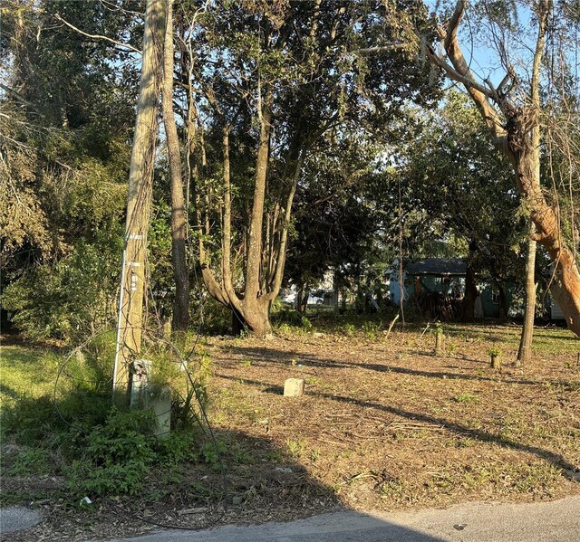 14530 6th St, Dade City, FL 33523 - photo 1