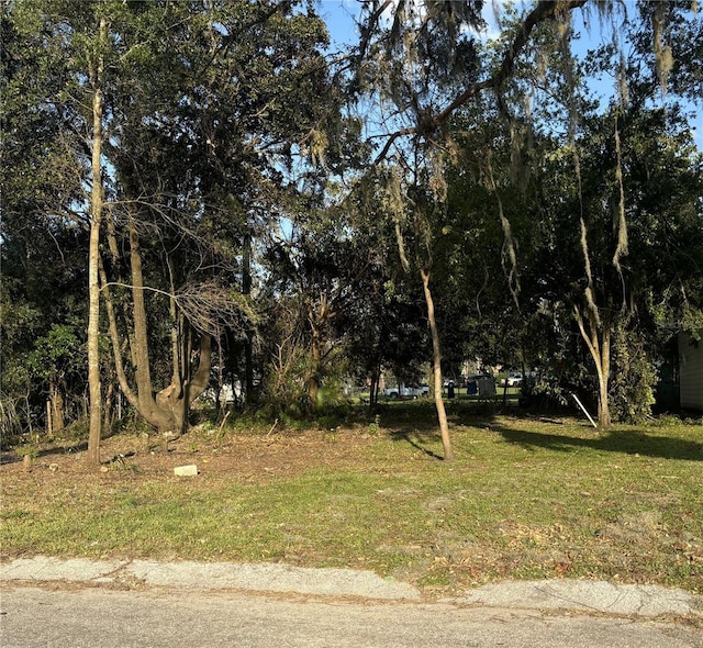 14530 6th St, Dade City, FL 33523 - photo 2
