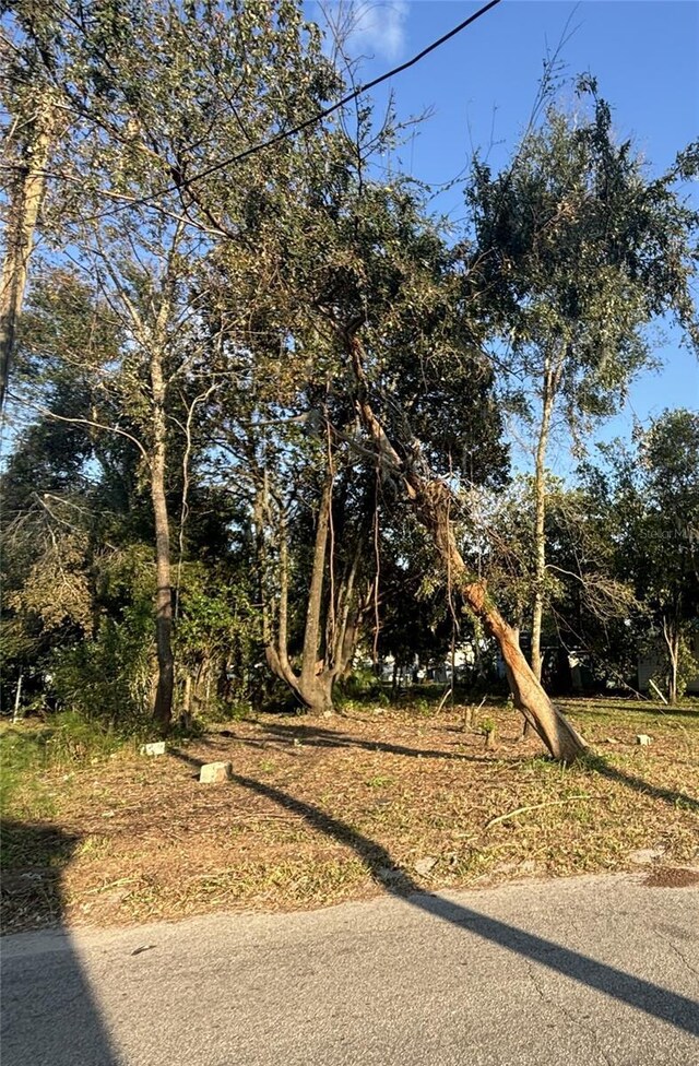14530 6th St, Dade City, FL 33523 - photo 3