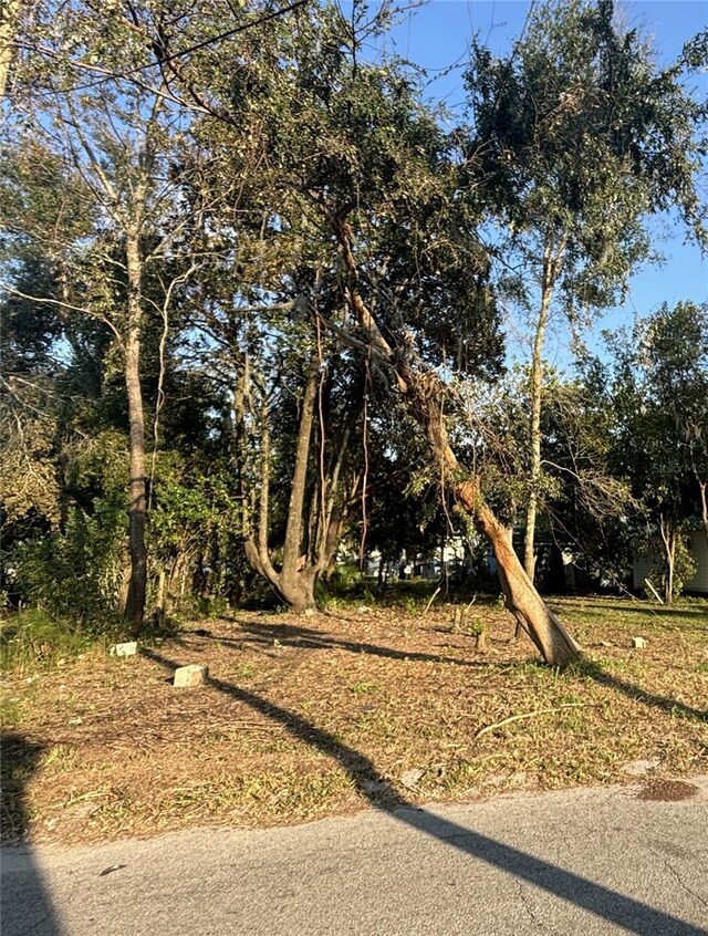 14530 6th St, Dade City, FL 33523 - photo 4