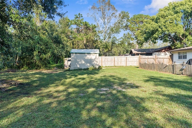 view of yard with a storage shed