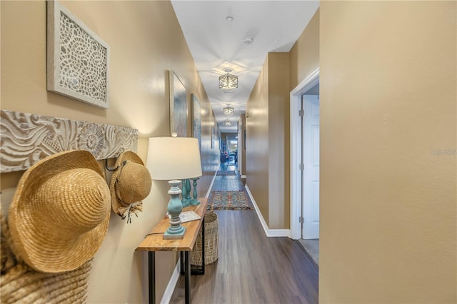 corridor featuring dark hardwood / wood-style flooring