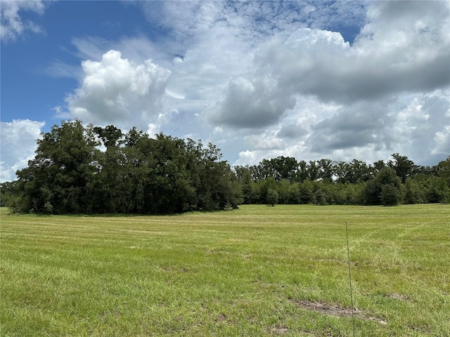 19028 SW 187th Ave, Archer FL, 32618 land for sale