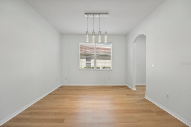 18051 Java Isle Dr, Tampa, FL 33647 - spare room with light wood finished floors, arched walkways, and baseboards