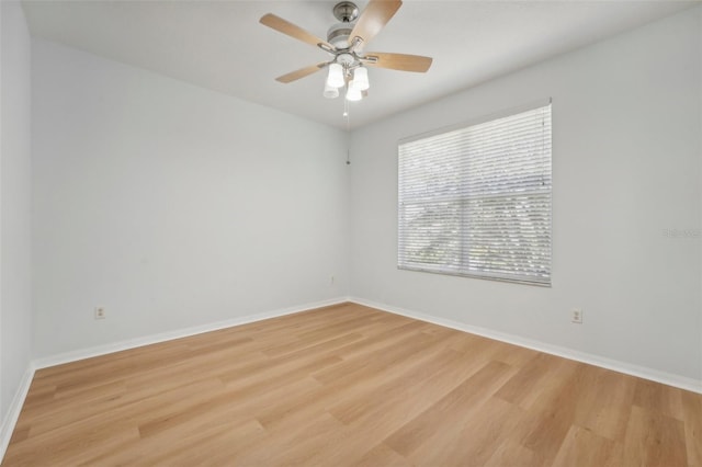18051 Java Isle Dr, Tampa, FL 33647 - empty room with light wood-type flooring, baseboards, and ceiling fan