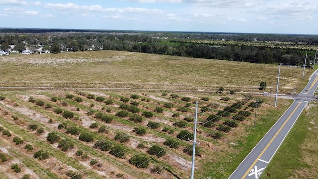 3200 Power Line Rd, Avon Park, FL 33825