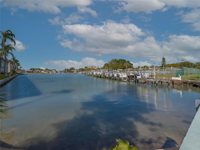 property view of water featuring a boat dock