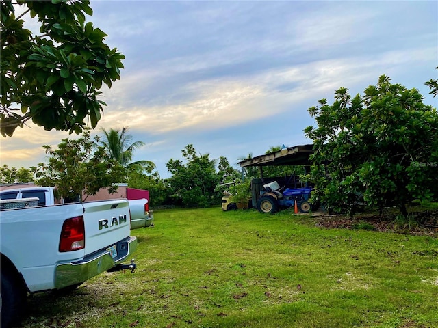 view of yard at dusk