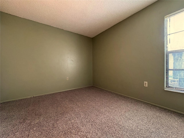 empty room featuring a textured ceiling and carpet flooring