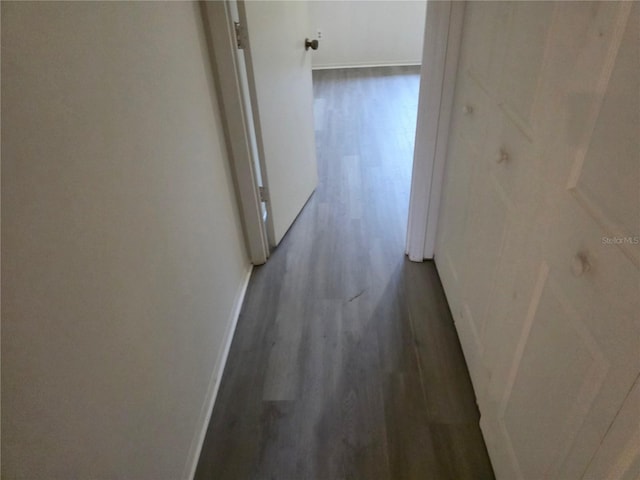 304 Camillia Ln Unit B, Port Charlotte, FL 33954 - corridor with wood finished floors and baseboards
